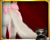 |LB|MaineCoon Tail4 Pink