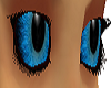 blue wogon eyes