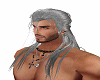 the witcher hair (N)