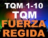 Fuerza Regida - TQM