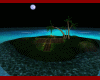 [C&M] Lost Island2
