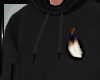  Native Feather Hoodie