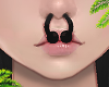 d. cow septum