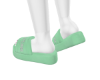 Pretty Mint Slides