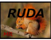 RUDA
