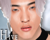 <Hv>AS.1 Male Head