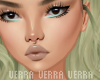 ┈ Verra Custom ┈