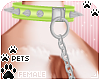 [Pets]LeashCollar | lime