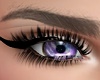IV.Purple Big Eyes