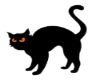 BlackCat Picture/Poster1