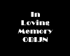 In loving memory Obijn/A