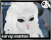 ~Dc) Bunny Visitor Furn