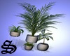 S! Beige Plants