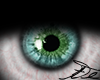 Blue & Green Eye 2