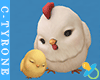 Hen & Chick