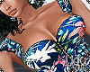LgeKate Dress BF
