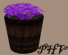 PHV Flowers In A Barrel
