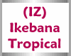 (IZ) Ikebana Tropical