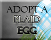Adopt a plaid Egg!
