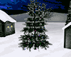Snow Night Tree & Lights