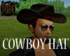 [RK]CowBoy Hat