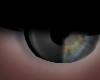 2Tones Eye Cava