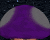 TOXIC SHROOM