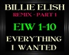 BillieElish~Everything 1