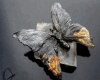 6v3| Black butterfly