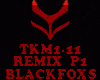 REMIX - TKM1-11 - P1