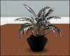 Star Planter Silver