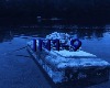 Bjorn_-_Indigo_Cover_