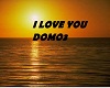 DOMO3 LOVE