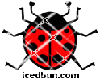ladybug3 animated