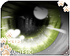 [Pets] Fudge | eyes v1