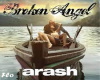 Broken Angel-Arash