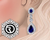 SV-EARRING