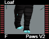 Loaf Paws F V2