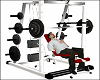 Weights Exercise Gym