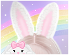 🌙 Fuzzy Bunny Pinky