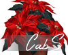 CS Holiday Poinsettia