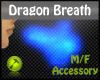 Dragon Blue Breath Female