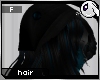 ~Dc) Erz Hair F