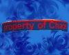 Property Of Chaos