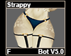 Strappy Bot V5.0 F