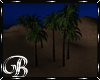 {A} Night Palms