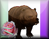 Brown Bear Pet