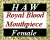 Royal Blood FMP
