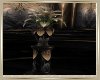 New Lilies
