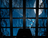  Latex Moonlight room
